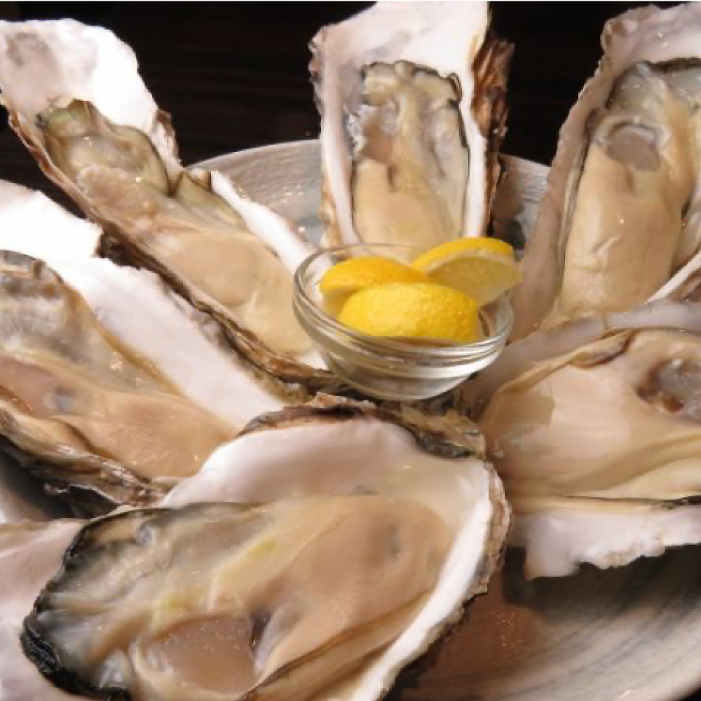 牡蠣のたね 生牡蠣とカンカン焼き専門店